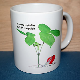 mug DS-090 6697.jpg